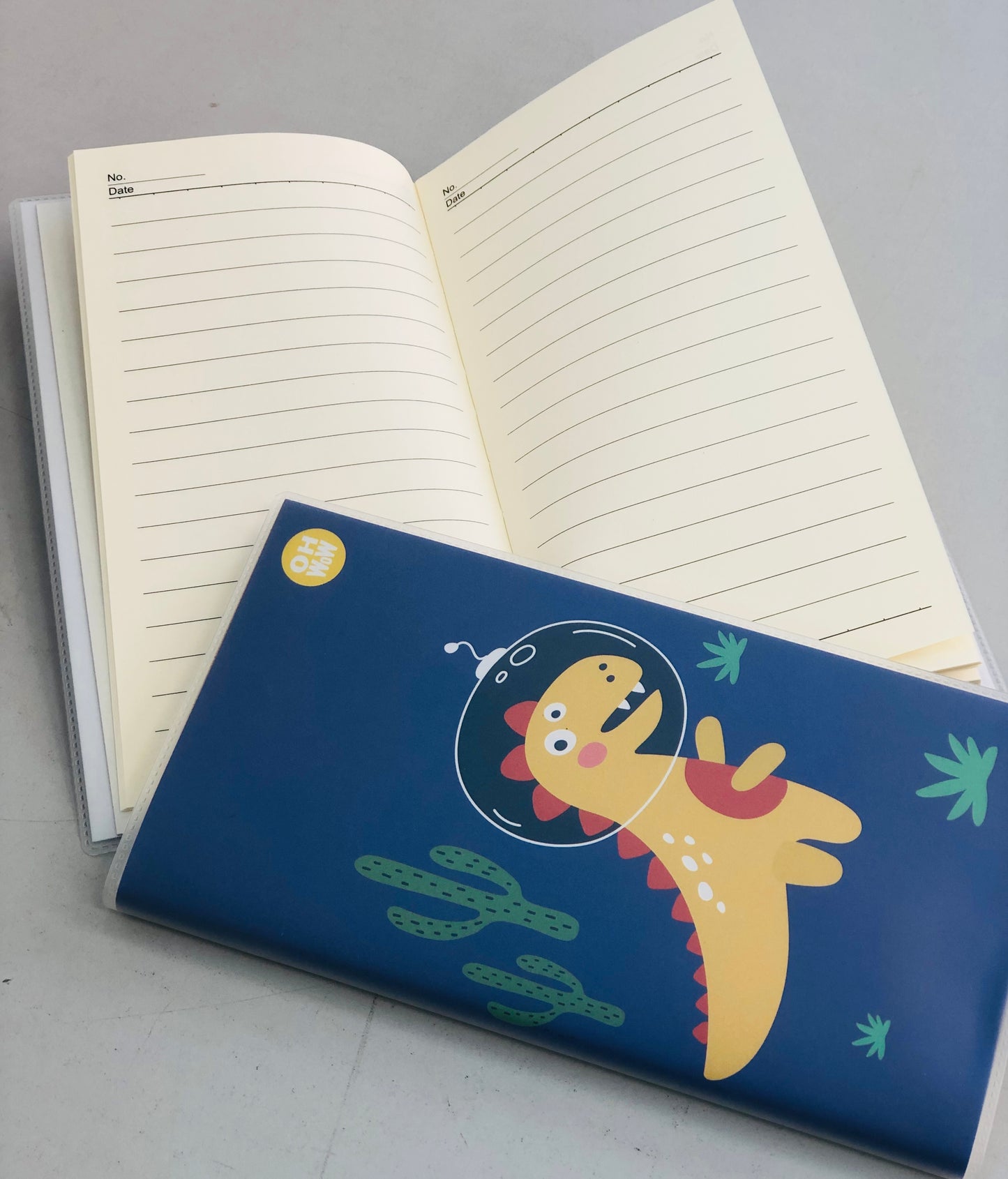 A6 rectangular dinosaur notebook