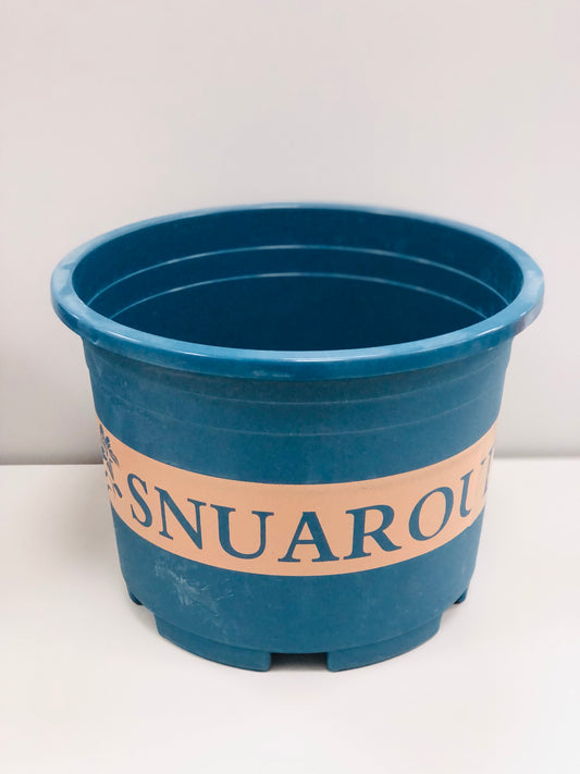 Plant pots with writing