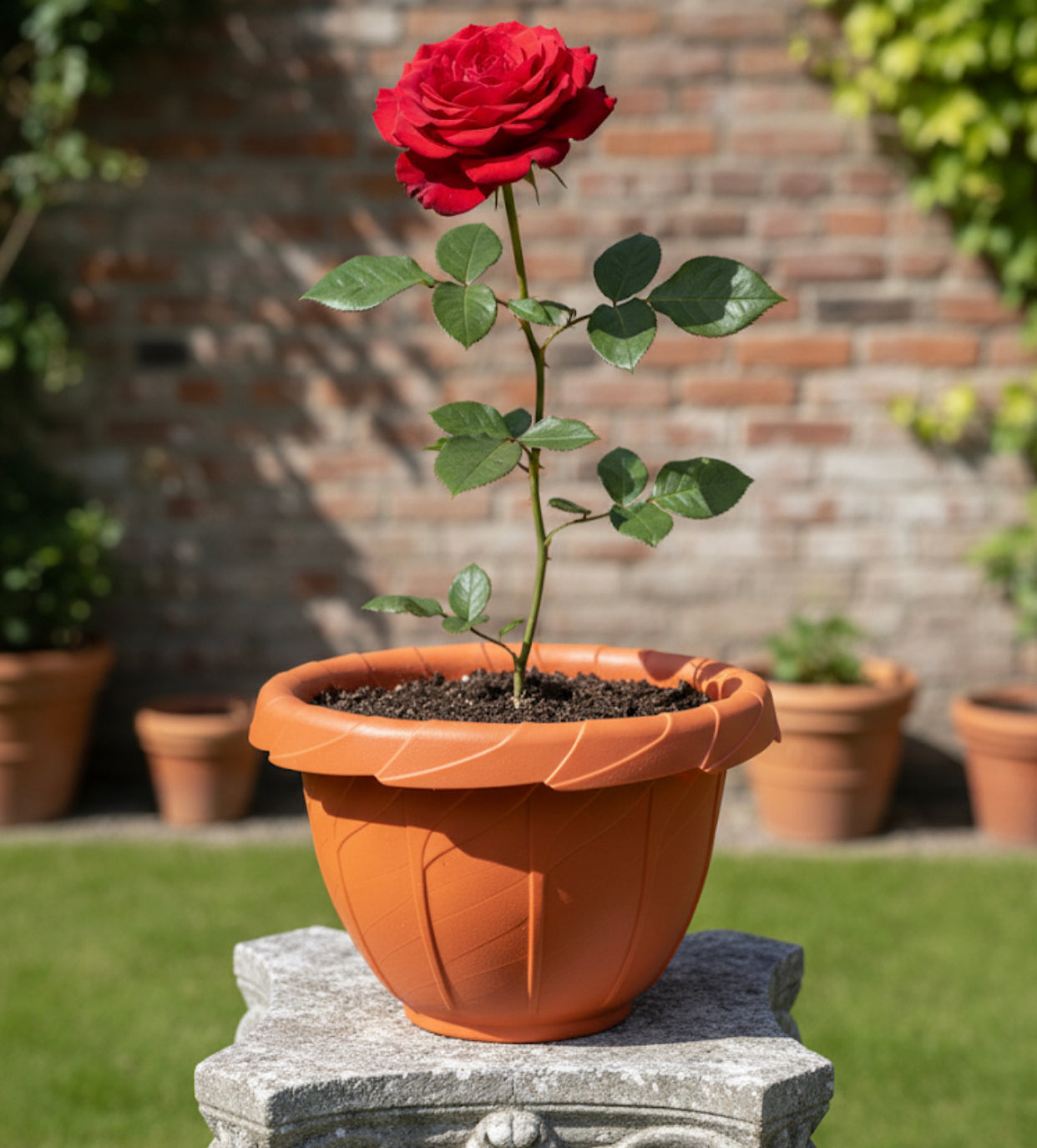 Agricultural containers in the shape of a flower