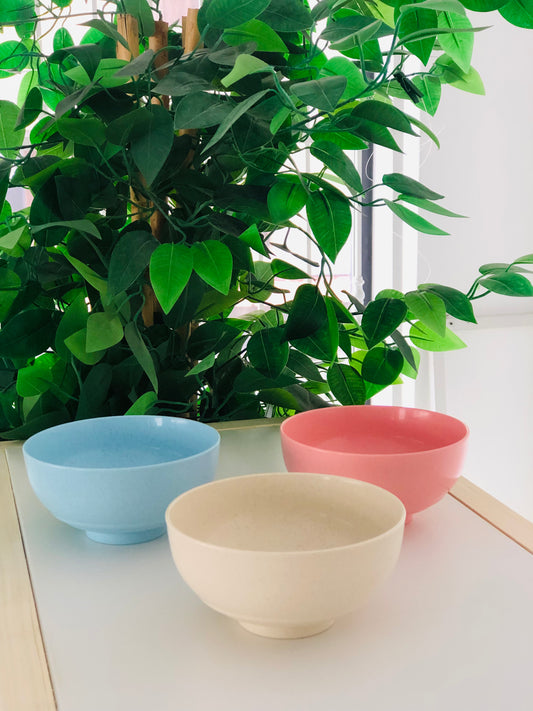 Melamine small plates