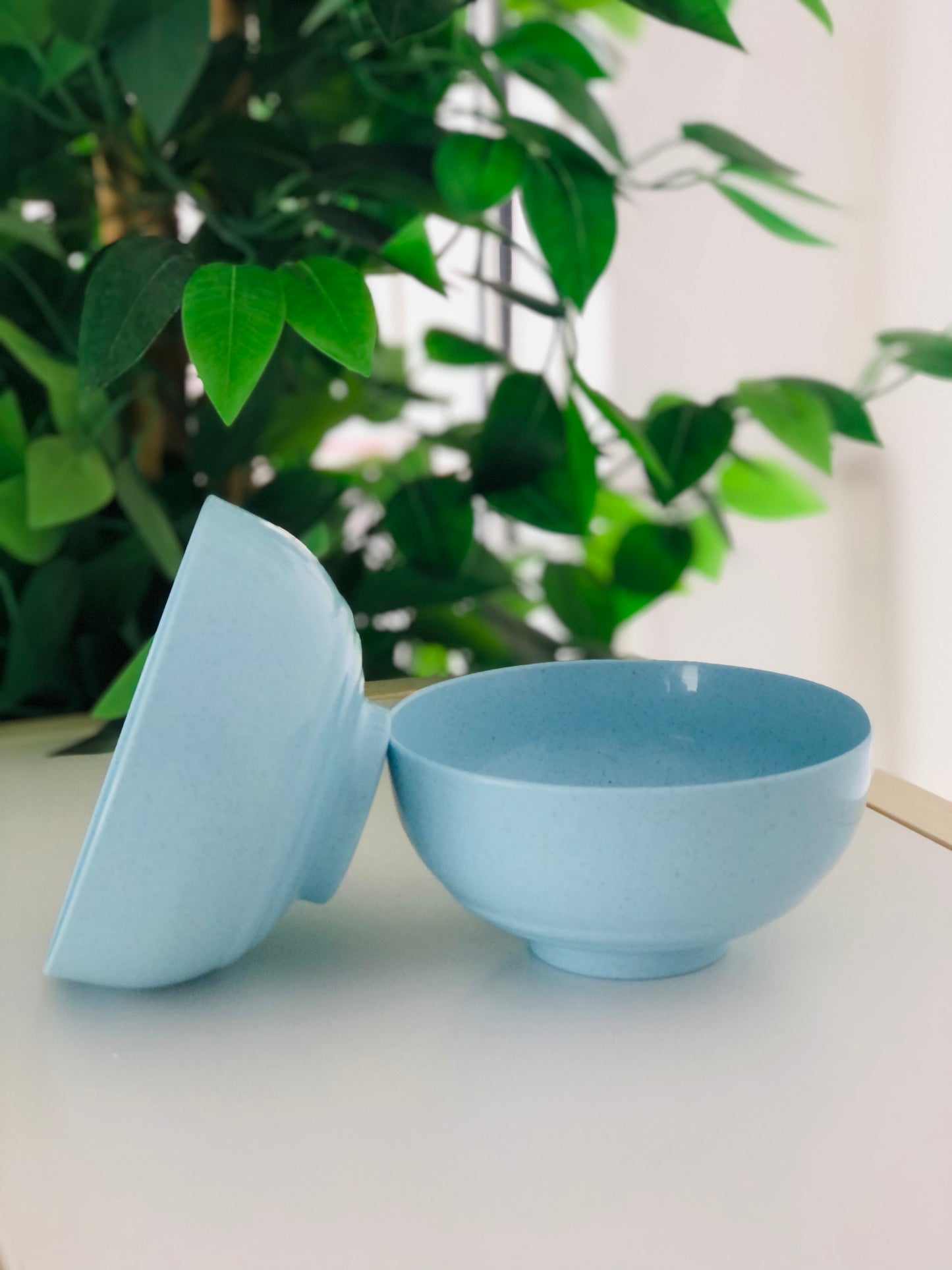 Melamine small plates