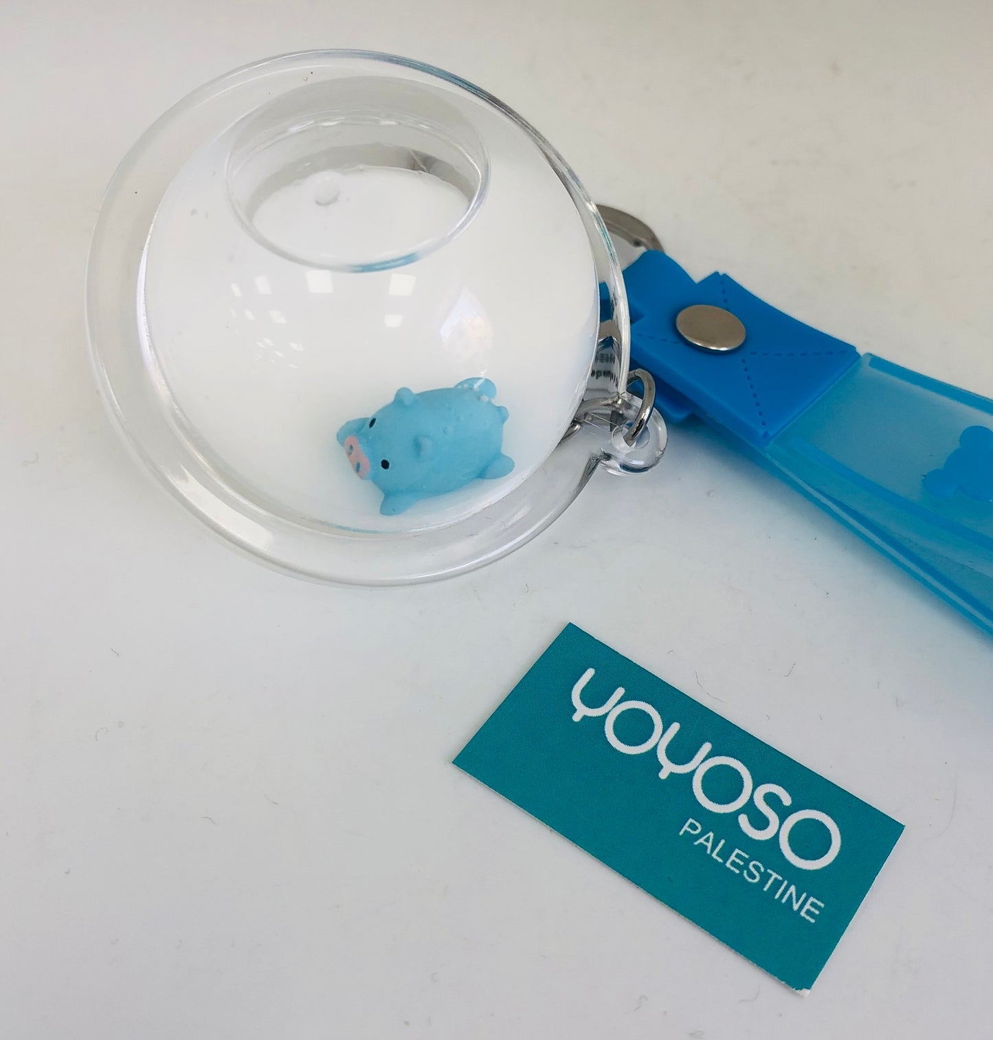 Blue Pig Water Medallion