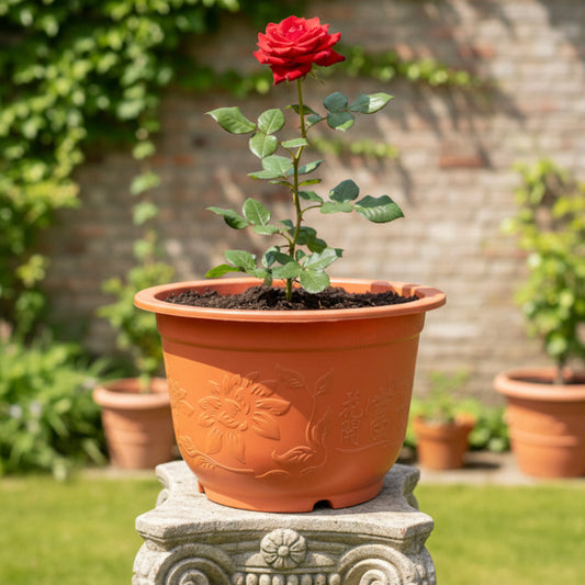 قواوير زراعية بنقشات كورية