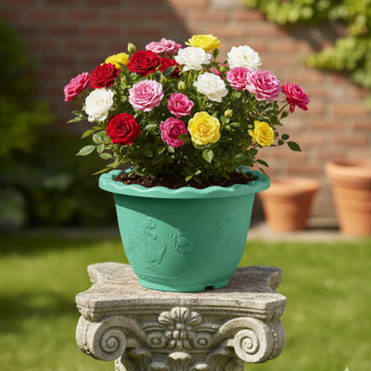 Dragon-shaped cultivation pots