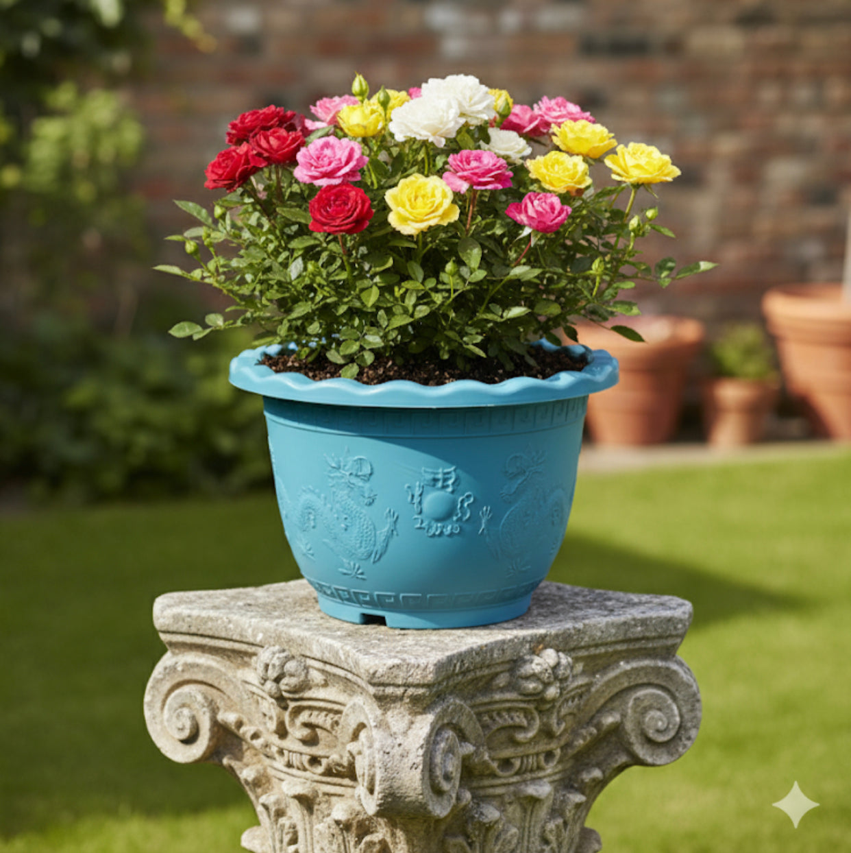 Dragon-shaped cultivation pots