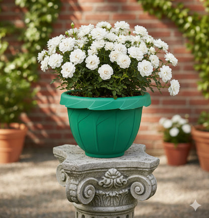 قواوير زراعية شكل زهرة