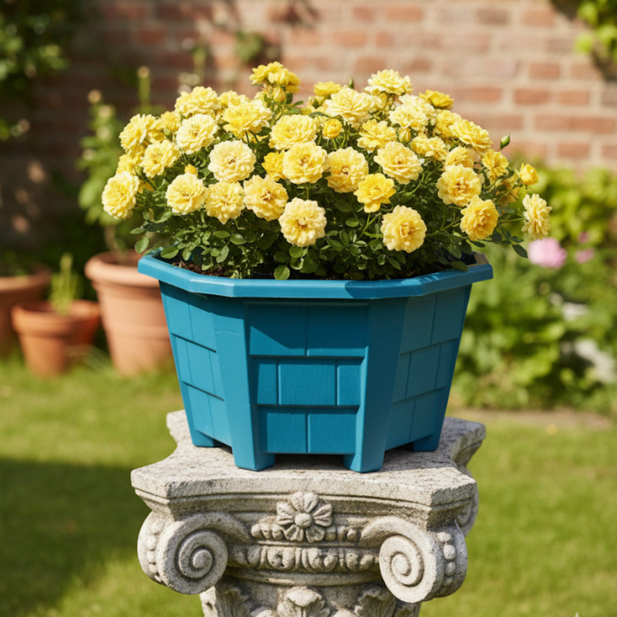 قواوير زراعية سداسي