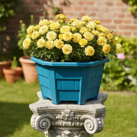 قواوير زراعية سداسي