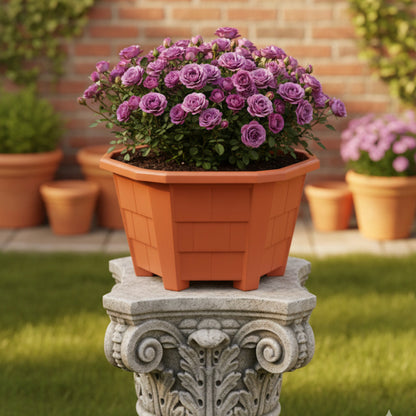 قواوير زراعية سداسي