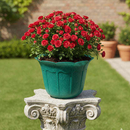 قواوير زراعية على شكل ورود