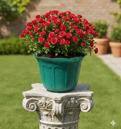 قواوير زراعية على شكل ورود