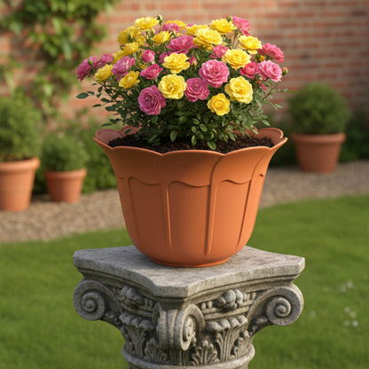 قواوير زراعية على شكل ورود